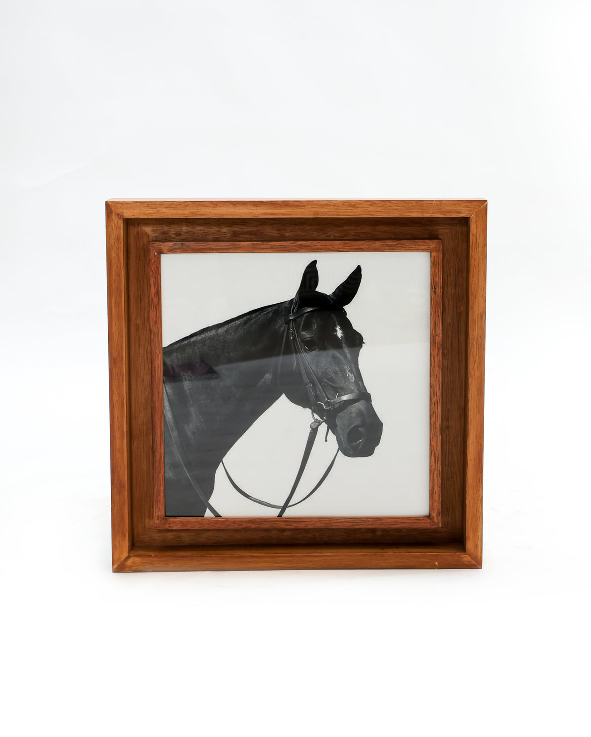 Big Horse Painting