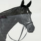 Big Horse Painting