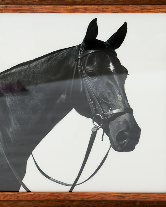 Big Horse Painting